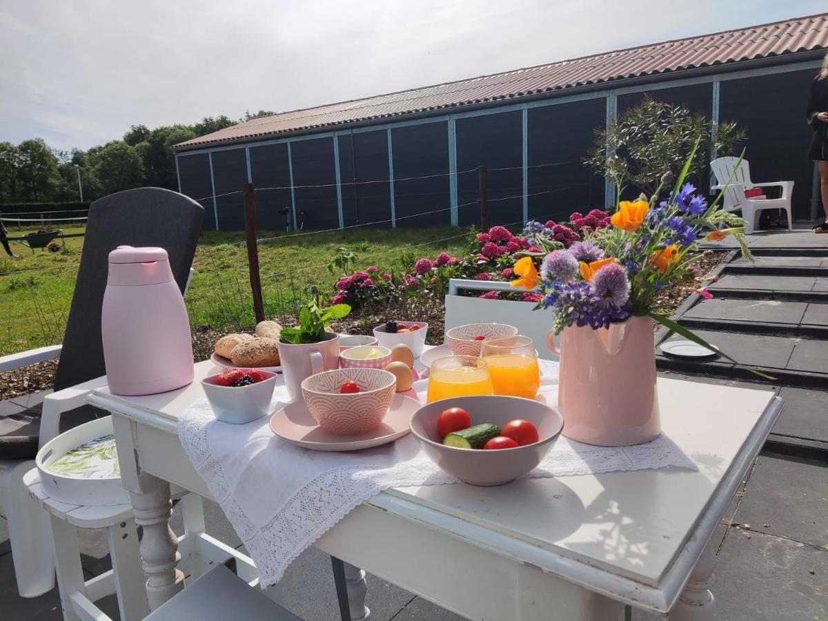Bed and Breakfast De Tulp Noordgouwe Экстерьер фото