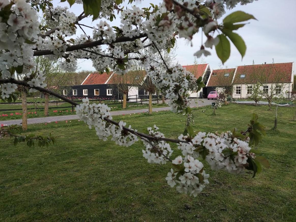 Bed and Breakfast De Tulp Noordgouwe Экстерьер фото